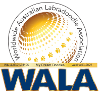 My Dream Doodles WALA Logo 2022