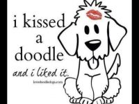 kissed by a doodle