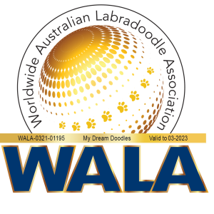 My Dream Doodles WALA Logo 2023