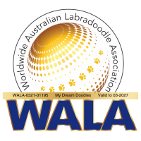 My Dream Doodles Badge (1)