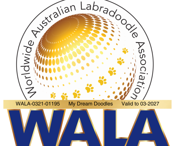 My Dream Doodles Badge (1)